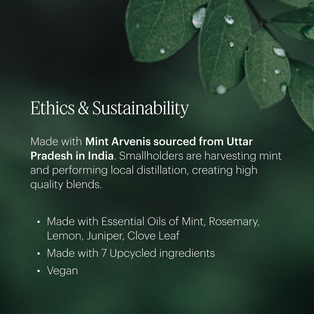 Aera Spa La La refill cap and label detail showcasing premium ingredients