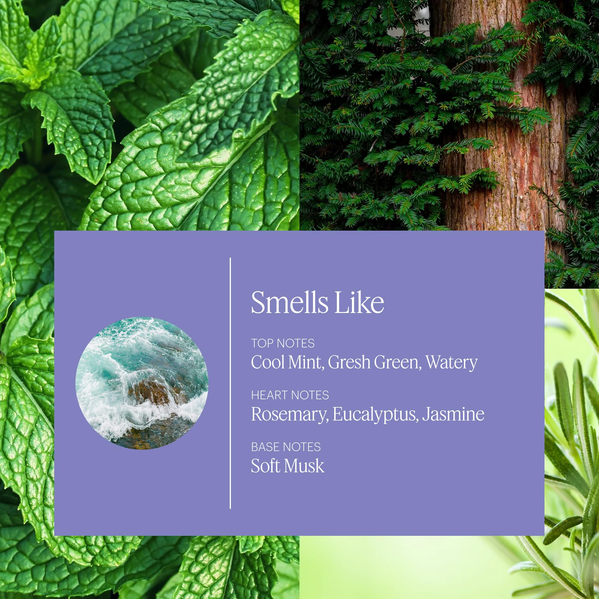 Close-up of Aera Spa La La refill packaging highlighting eco friendly materials