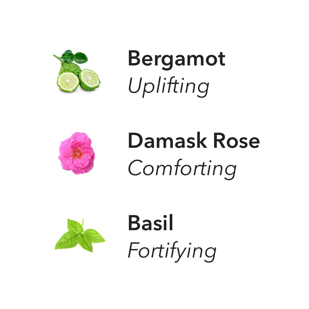 Aera sustainable fragrance ingredients reflecting ethical sourcing