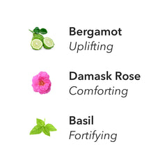 Aera sustainable fragrance ingredients reflecting ethical sourcing