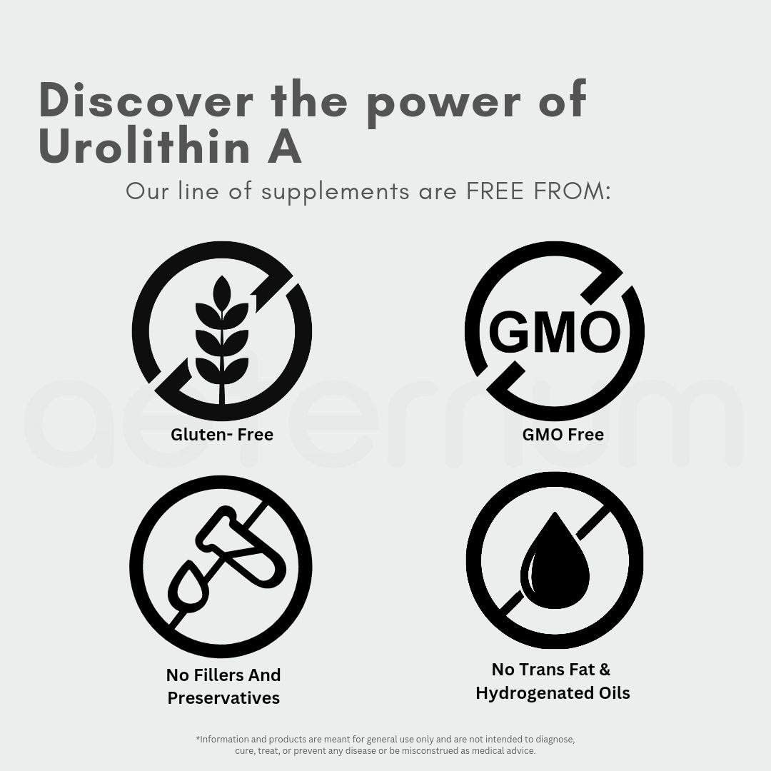 Aeternum Urolithin A bottle back shows ingredients for transparency and safety.