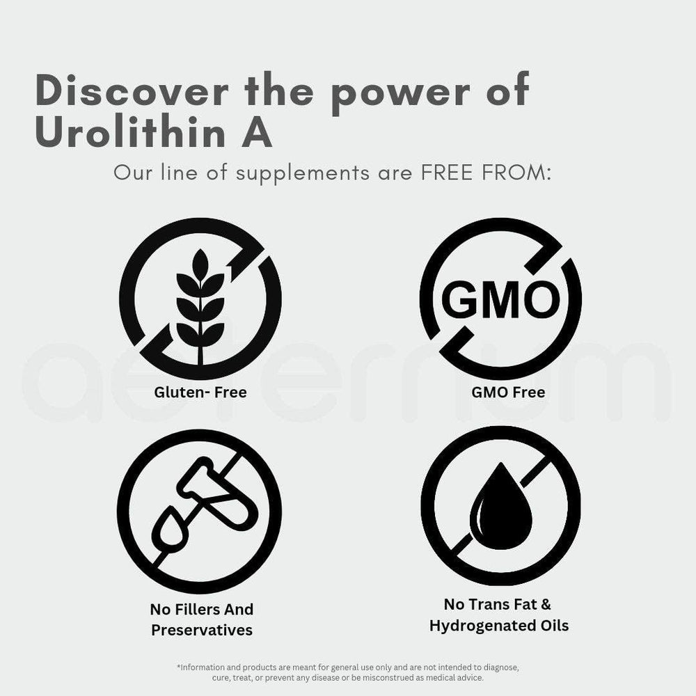 Aeternum Urolithin A bottle back shows ingredients for transparency and safety.