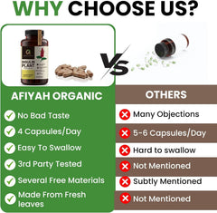 Afiyah Organic Costus Igneus capsules bottle side illustrates compact packaging.