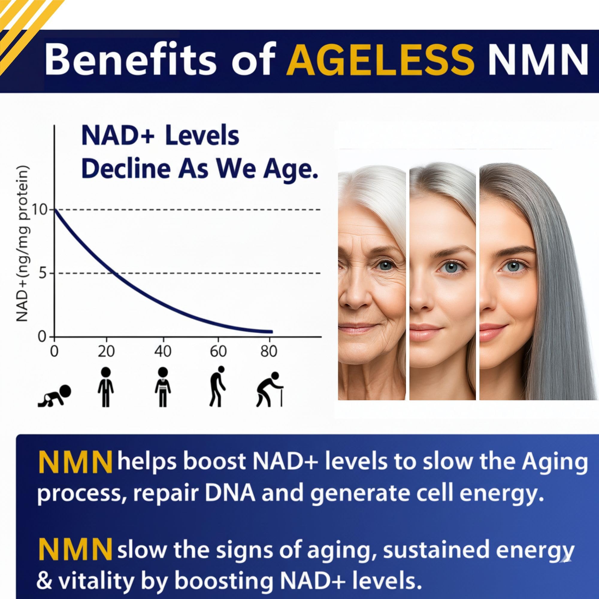 Close-up of Ageless NMN 500mg label emphasizing high potency formula for NAD+ support