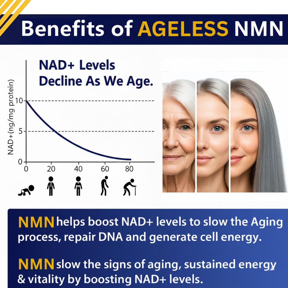Close-up of Ageless NMN 500mg label emphasizing high potency formula for NAD+ support