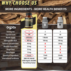 agobi Turmeric Ginger Rhodiola blend – visible ingredients supporting energy and balance