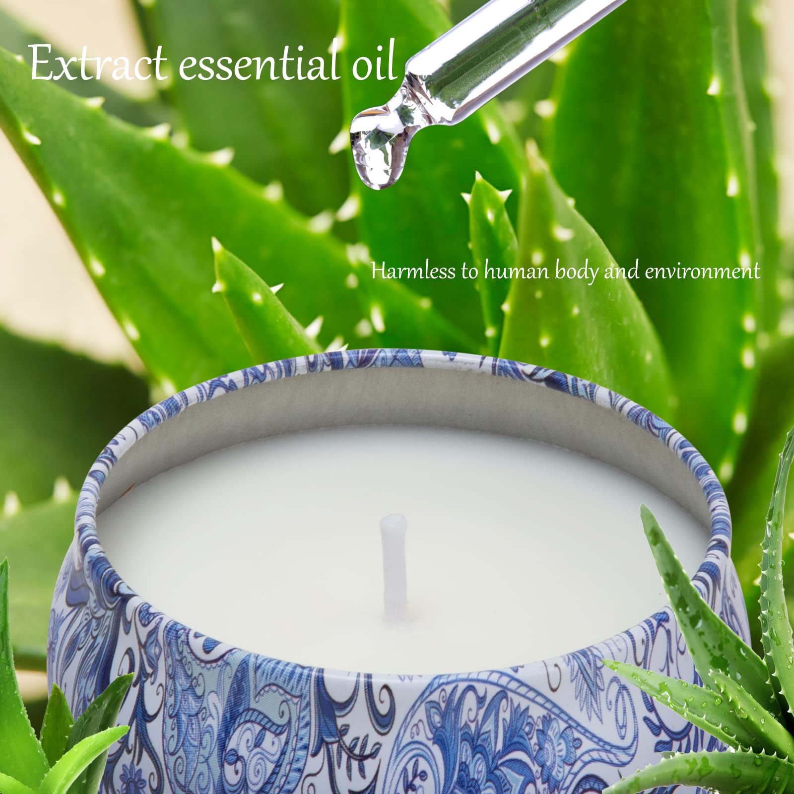 AGOL 2-pack scented candle with floral scent preview for relaxing spaces
