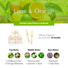 AGRARIA AirEssence reed diffuser reeds display for a modern, clean look
