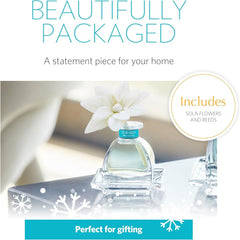 AGRARIA Blue Spruce PetiteEssence reeds enhance ambience with long lasting fragrance.