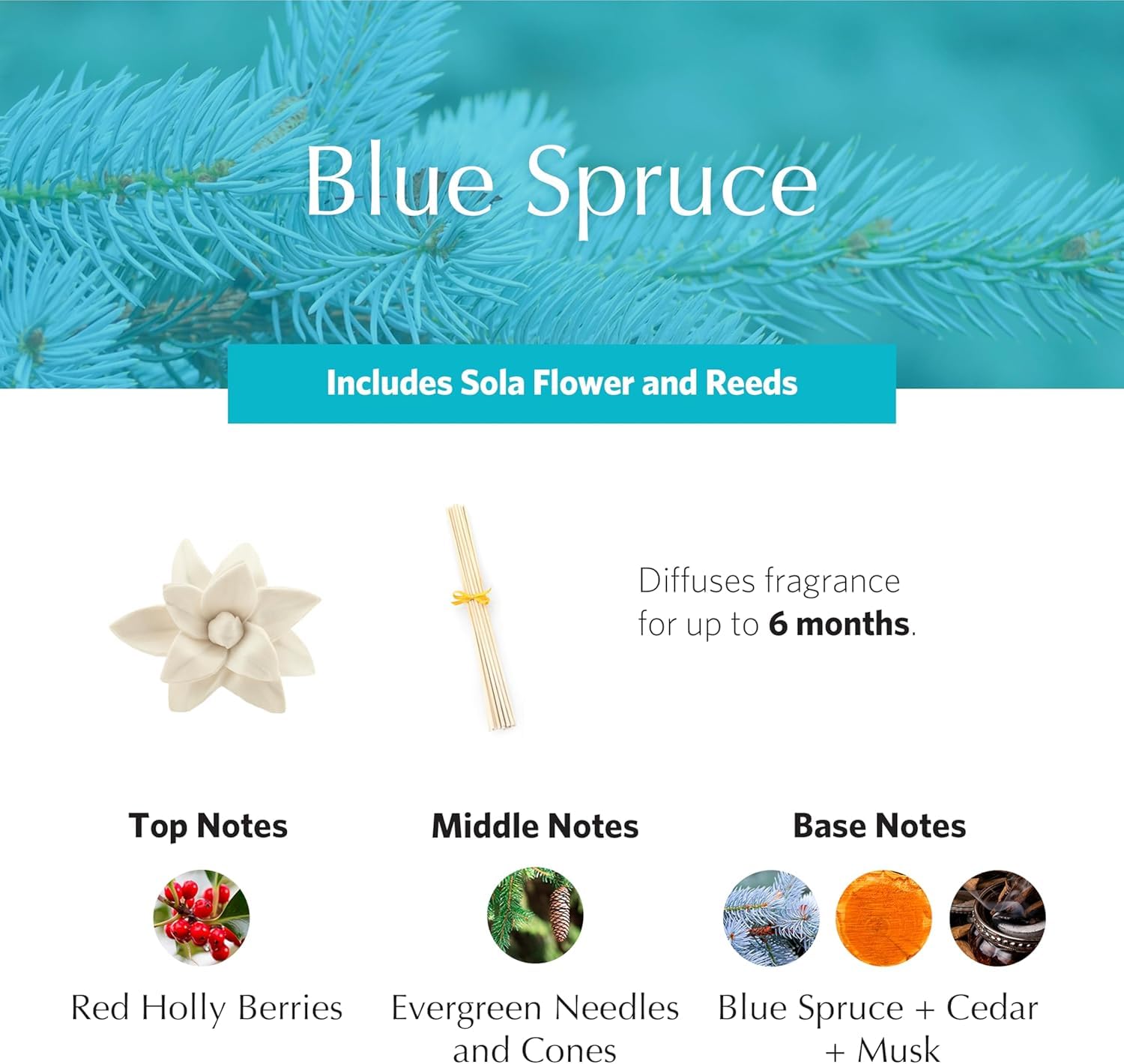 AGRARIA Blue Spruce PetiteEssence sola flowers closeup show artisanal craftsmanship and aroma.