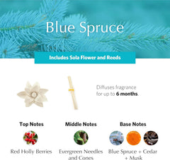 AGRARIA Blue Spruce PetiteEssence sola flowers closeup show artisanal craftsmanship and aroma.