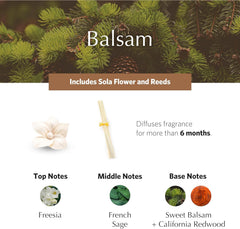 AGRARIA PetiteEssence diffuser reeds showcase craftsman detail for an elegant home decor accent.