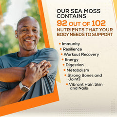 Blending Ahai Life Gold Sea Moss into smooth gel texture.