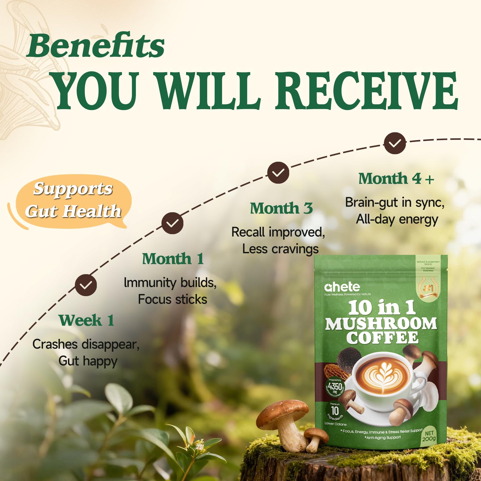 Ahete 10-in-1 Mushroom Coffee Arabica beans closeup highlights premium quality for daily rituals.