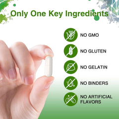 AIKOURA HERBS vegan formula label highlights gluten-free and GMO-free.