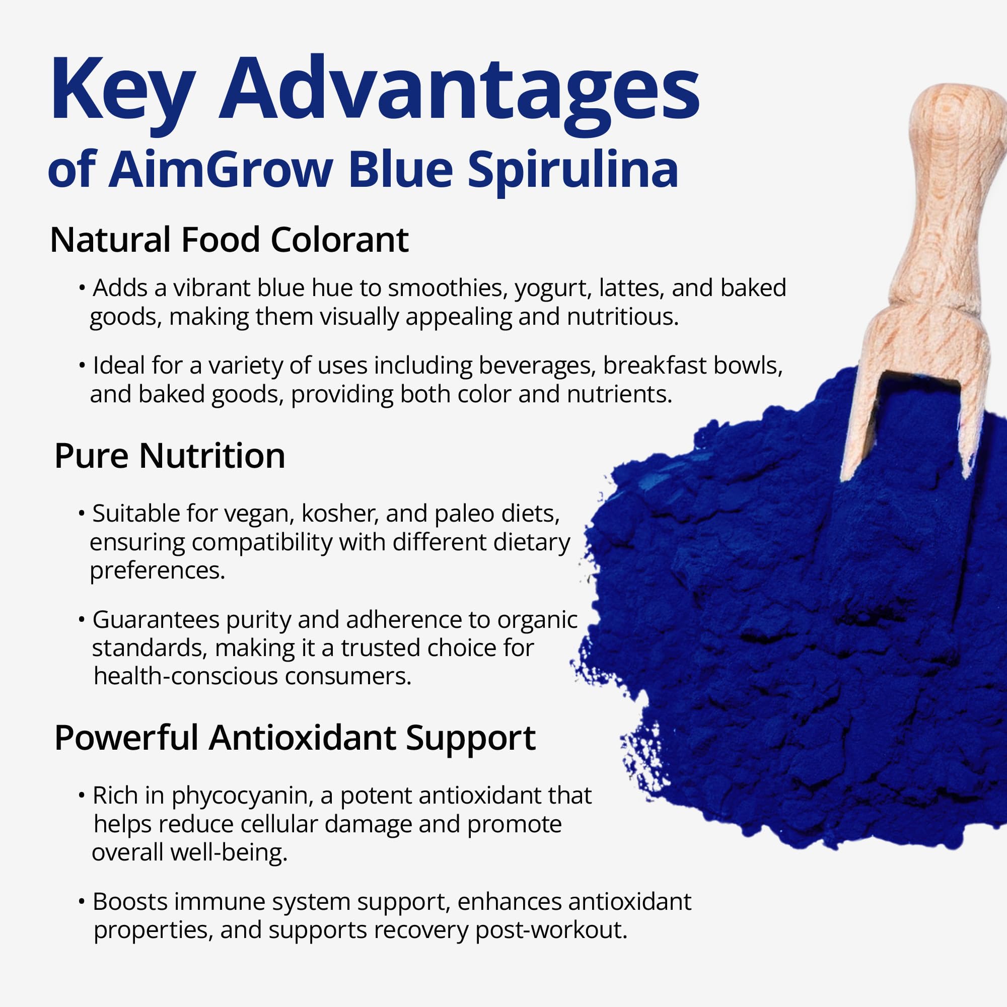 Aimgrow Blue Spirulina Powder yogurt bowl enriched with blue tint and nutrition.