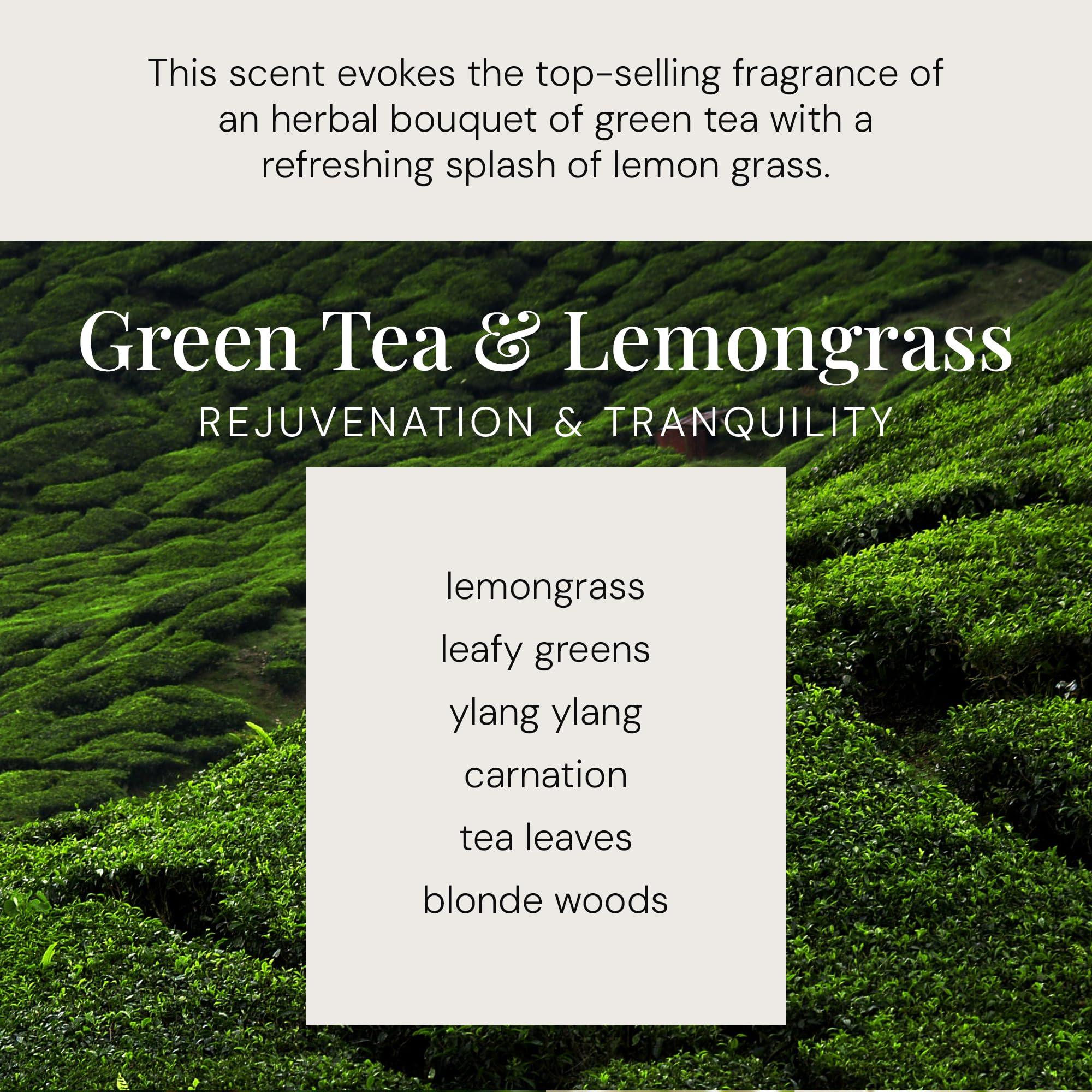 Air Esscentials Green Tea Lemongrass candle lit in living room for cozy atmosphere
