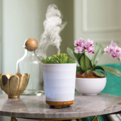 Airome diffuser demonstrates mist options for intermittent and continuous use.
