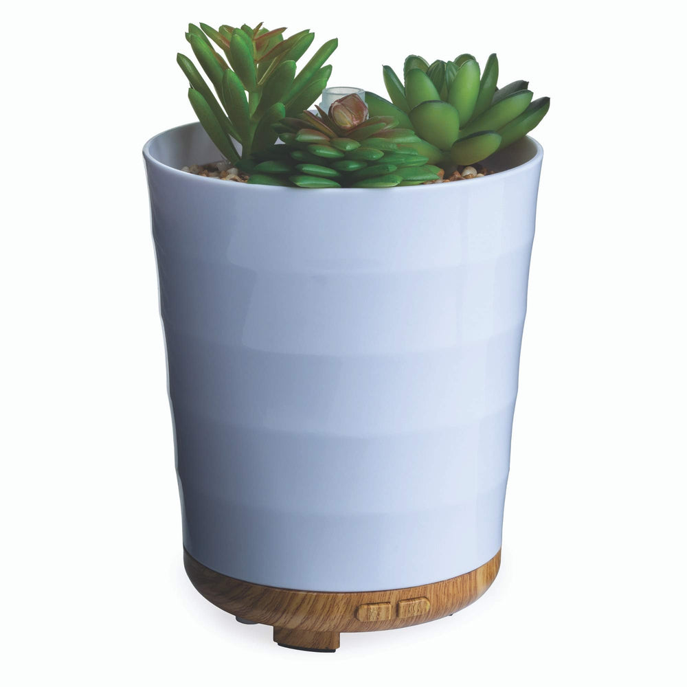 Airome Potted Succulent Diffuser in white pot with bamboo base for calm ambience.