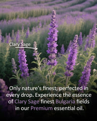 airoomoil Clary Sage skincare blend balances oily skin when diluted