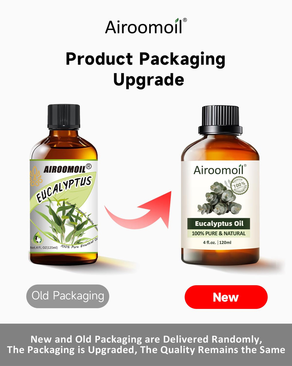 Airoomoil Eucalyptus enhances bathroom ambiance with a crisp, green scent.
