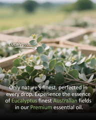 Airoomoil Eucalyptus cleaning spray adds natural fragrance to DIY cleaning routines.