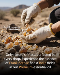 Airoomoil Frankincense room spray brightens living areas.