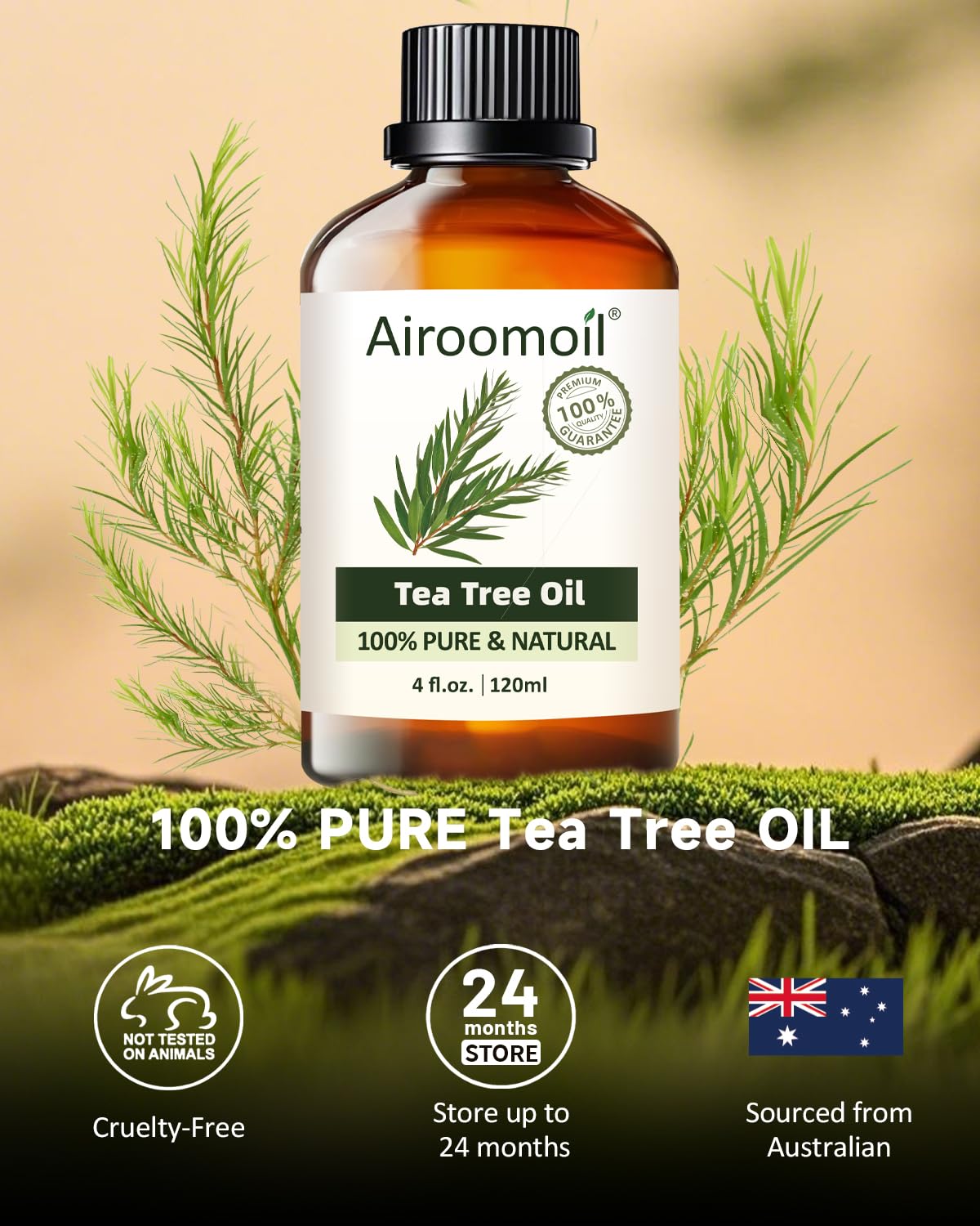Airoomoil Tea Tree Oil in diffuser setup for fresh room aroma