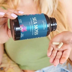 Bladderwrack Root from Akasha Superfoods shown as a traditional botanical for thyroid wellness.