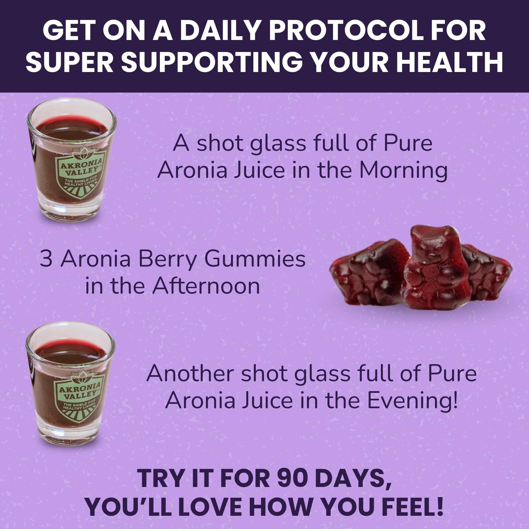 Akronia Valley pack of 12 bottles for a month-long wellness routine.