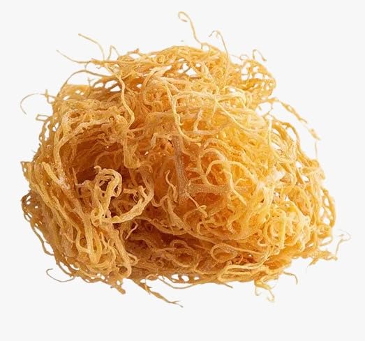 al badil Golden Sea Moss gel ready for smoothies and desserts