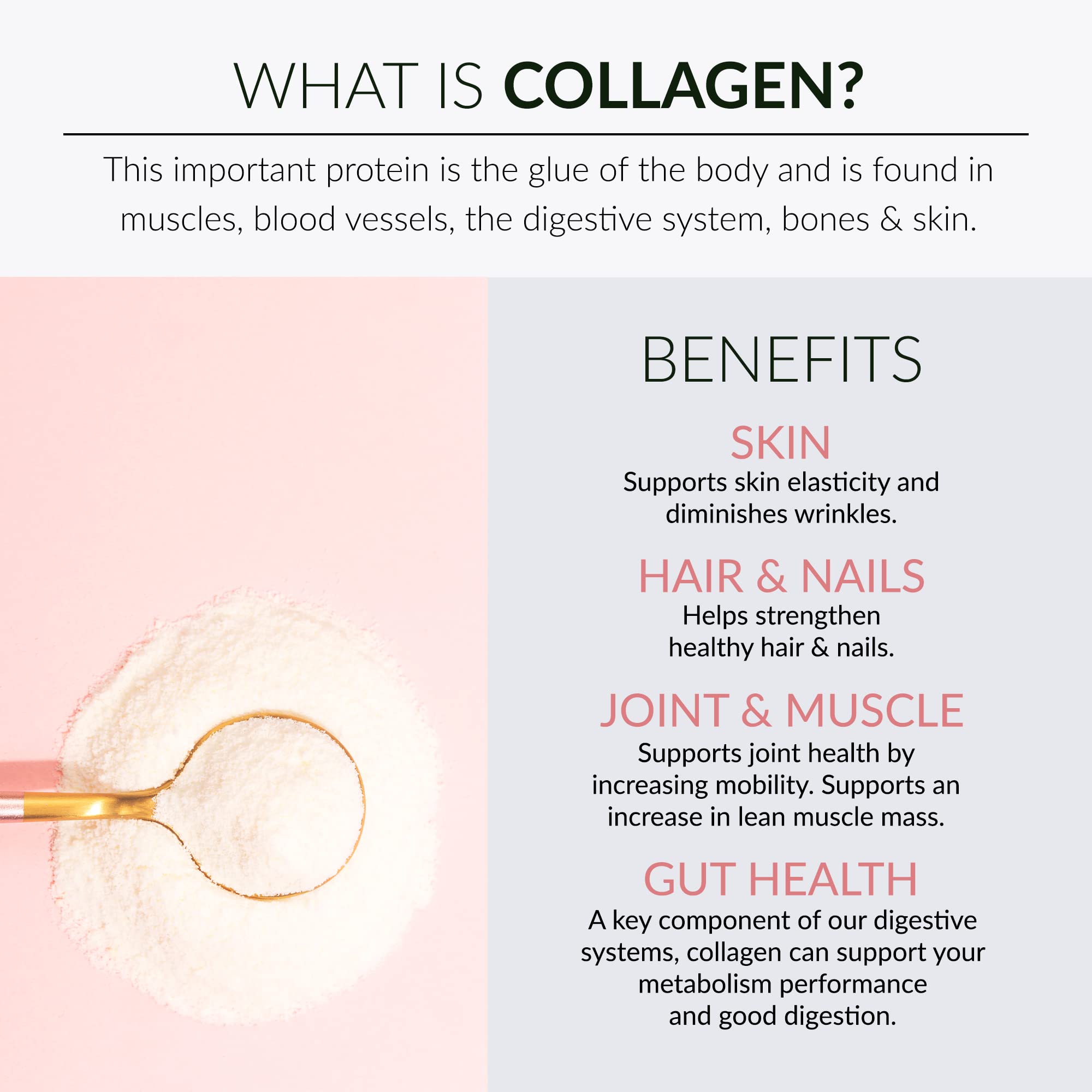Alaya Naturals collagen ingredients label highlighting five types