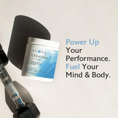Alaya Naturals creatine powder scoop enables easy daily dosing.