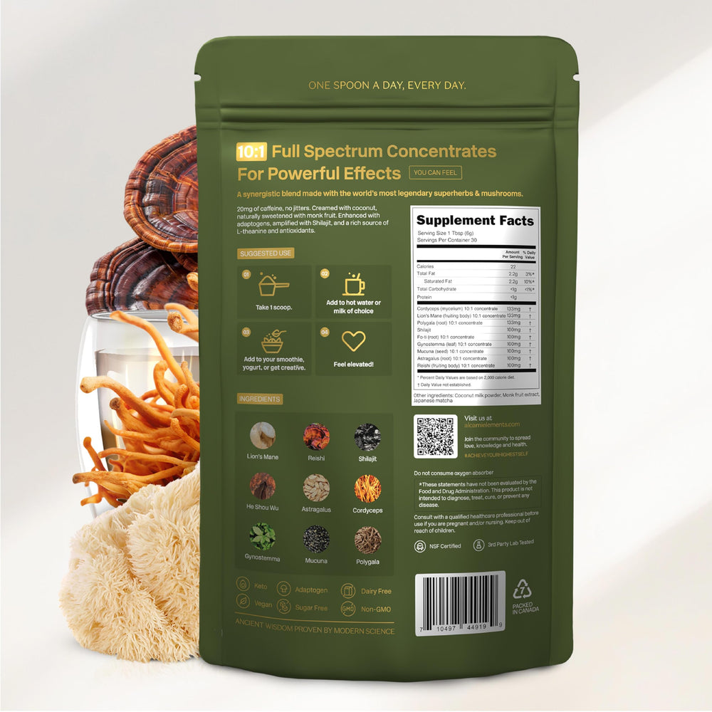 Alcami Elements Matcha Mushroom Coffee packaging emphasizes a 30-serving daily superfood.