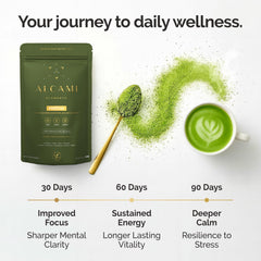 Alcami Elements Matcha Mushroom Coffee scoop enables quick, precise daily servings.