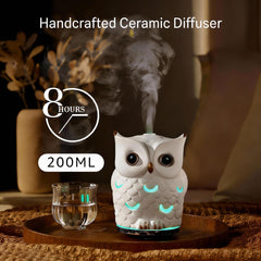 ALIEYE Ceramic Owl Diffuser water tank highlights long-running mist.