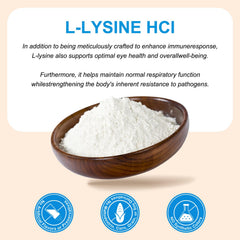 Dosing scoop shown with ALIVO L-Lysine powder for easy daily administration.