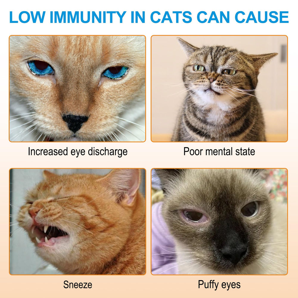 Salmon-flavored ALIVO L-Lysine powder appeals to cats during supplementation.