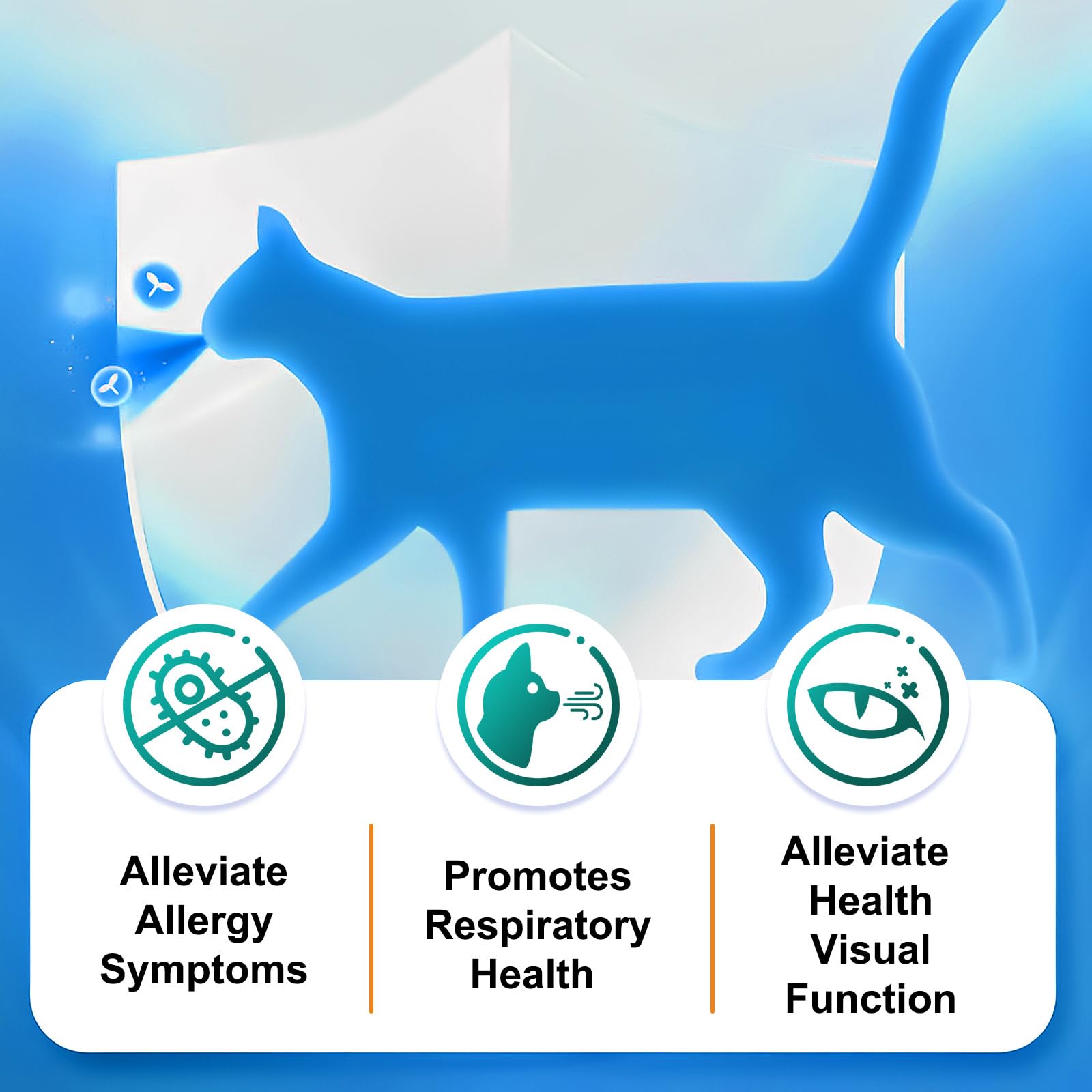Senior cat enjoying consistent immune support as part of daily routine.