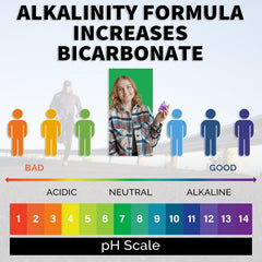 Alkalife enteric-coated tablet designed for intestinal absorption and steady levels.