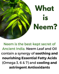 All About Neem manufacturing in USA in a GMP facility assures quality.
