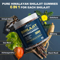 ALLBIZ organic honey-sweetened gummies closeup emphasizes natural flavor and clean sweetness