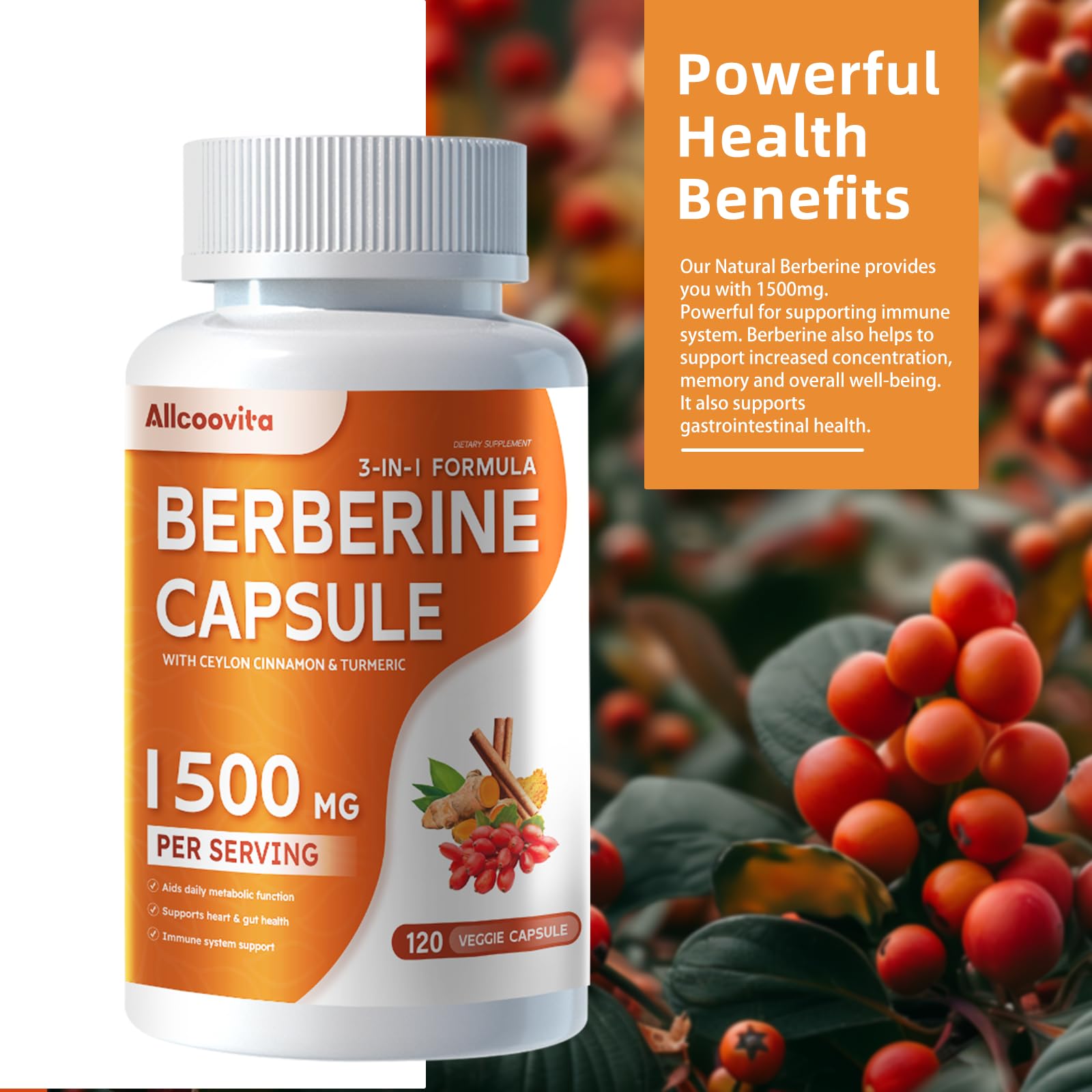 Allcoovita Berberine promotes potential immunity support benefits.