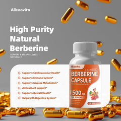 Allcoovita Berberine lab-tested quality seal visible on the label.