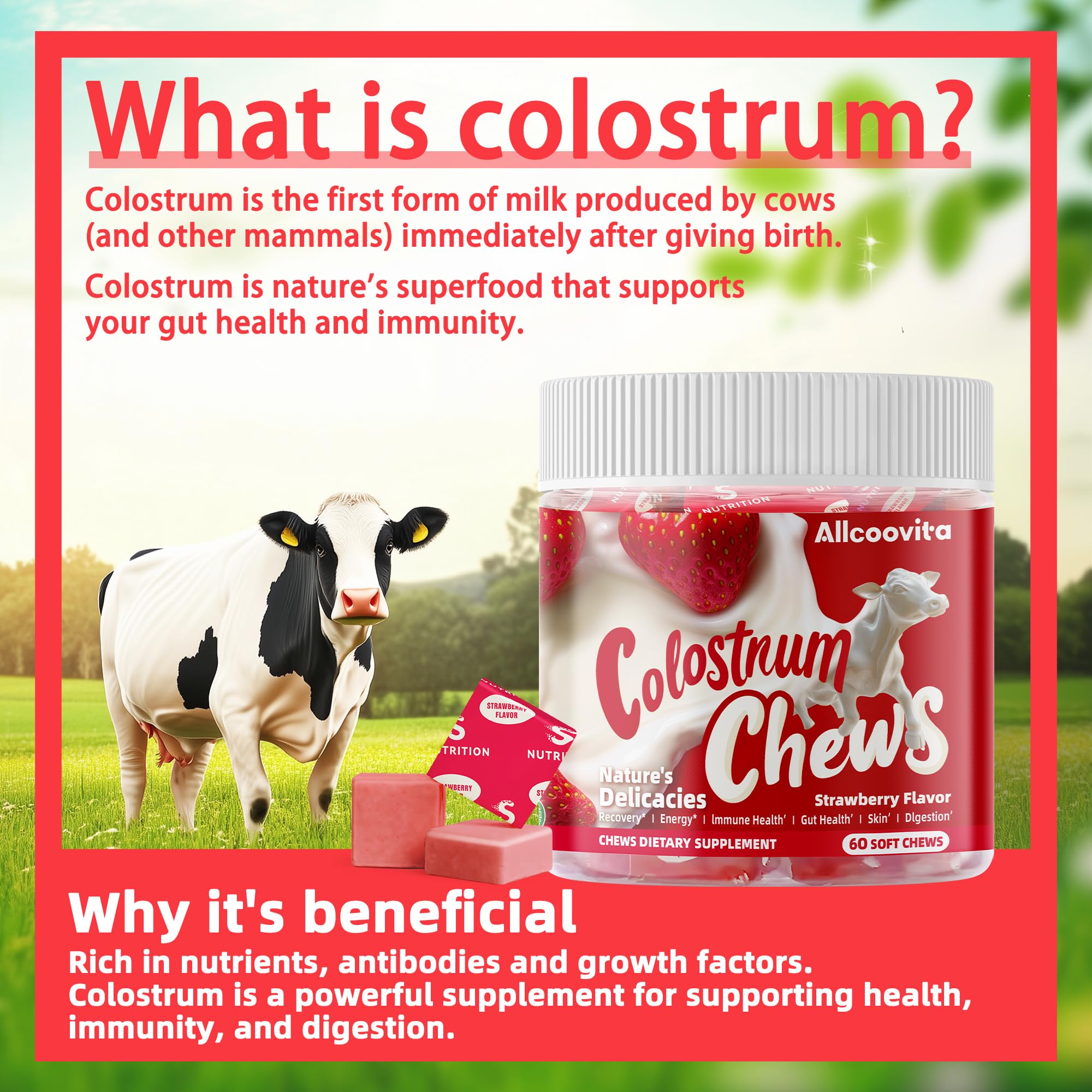 Allcoovita chews close-up, soft gummy texture for easy daily chewing