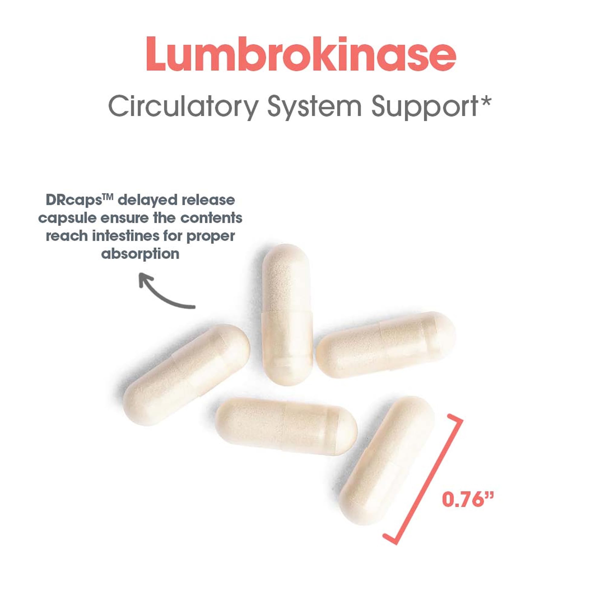 ARG Lumbrokinase bottle on pantry shelf reinforces daily use