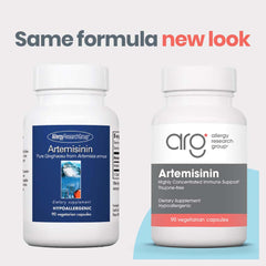 Close-up of artemisinin capsules on a spoon for easy daily intake