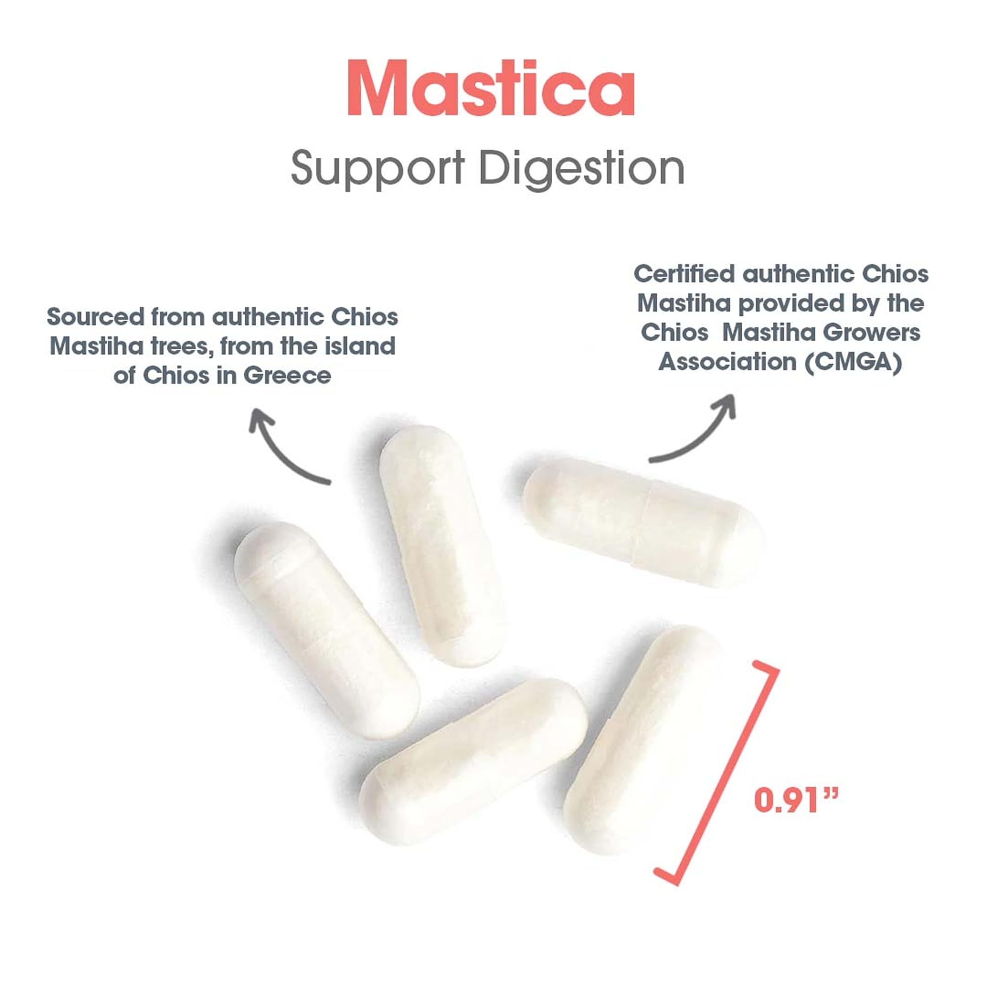 Allergy Research Group Mastic Gum bottle with clear label for routine.