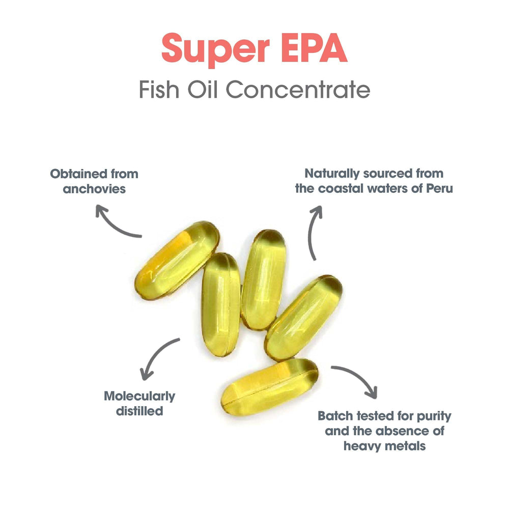 Allergy Research Group sustainable sourcing graphic highlighting anchovy oil sourcing