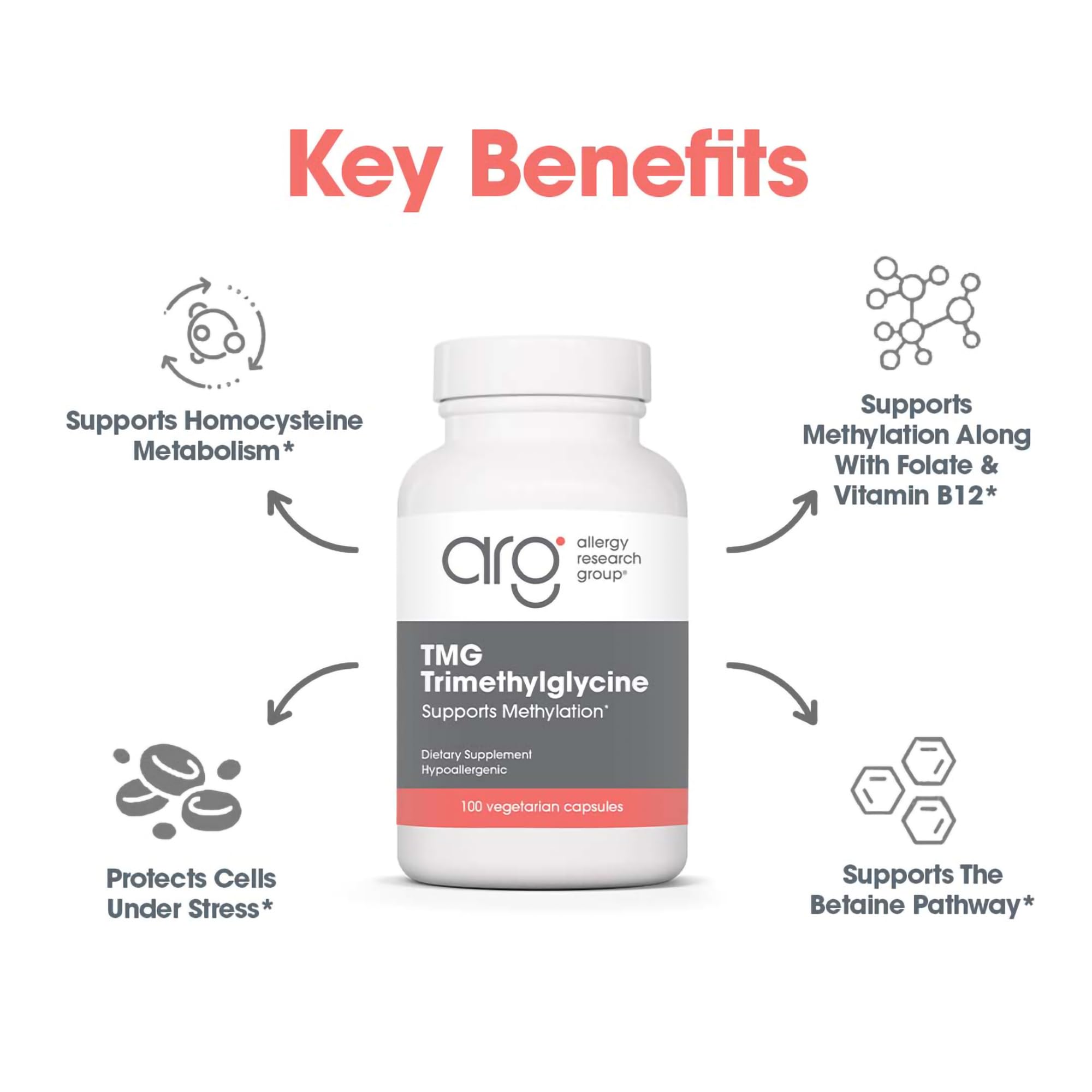 Allergy Research Group TMG ingredients back view highlighting quality control for wellness.